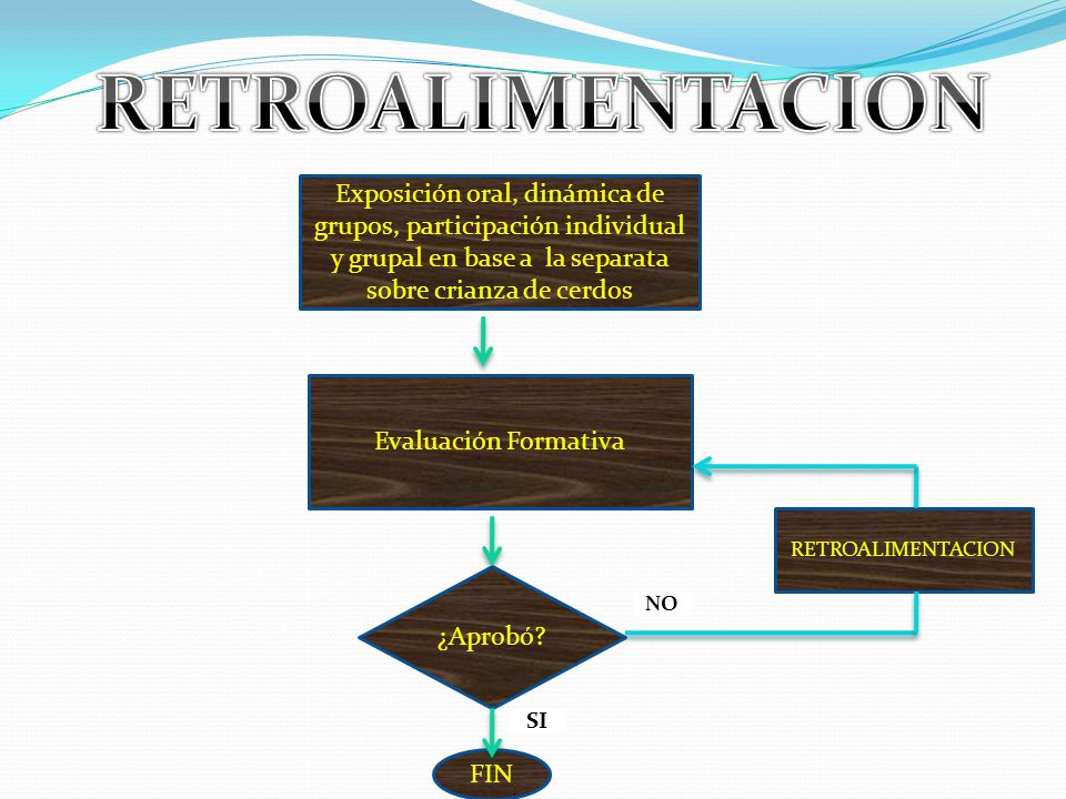 RETROALIMENTACION Exposición oral, dinámica de grupos, participación individual y grupal en base a la separata sobre crianza de cerdos.