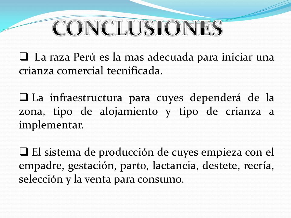 CONCLUSIONES La raza Perú es la mas adecuada para iniciar una crianza comercial tecnificada.