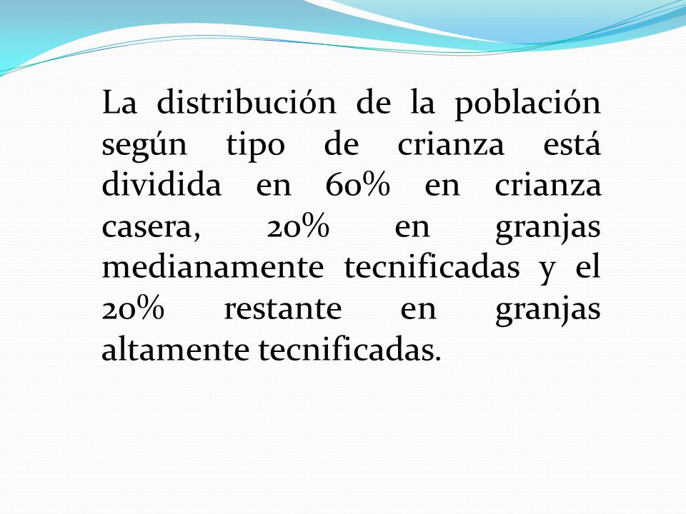 La distribución de la población según tipo de crianza está dividida en 60% en crianza casera, 20% en granjas medianamente tecnificadas y el 20% restante en granjas altamente tecnificadas.