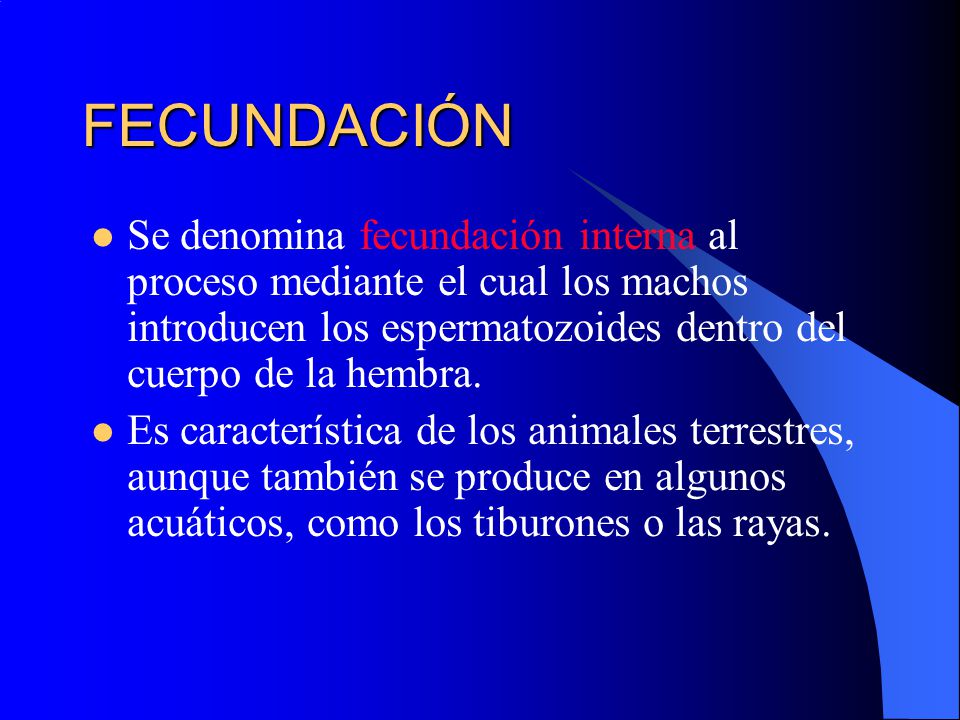 FECUNDACIÓN Se denomina fecundación interna al proceso mediante el cual los machos introducen los espermatozoides dentro del cuerpo de la hembra.