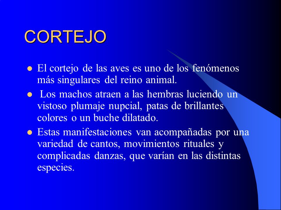 CORTEJO El cortejo de las aves es uno de los fenómenos más singulares del reino animal.