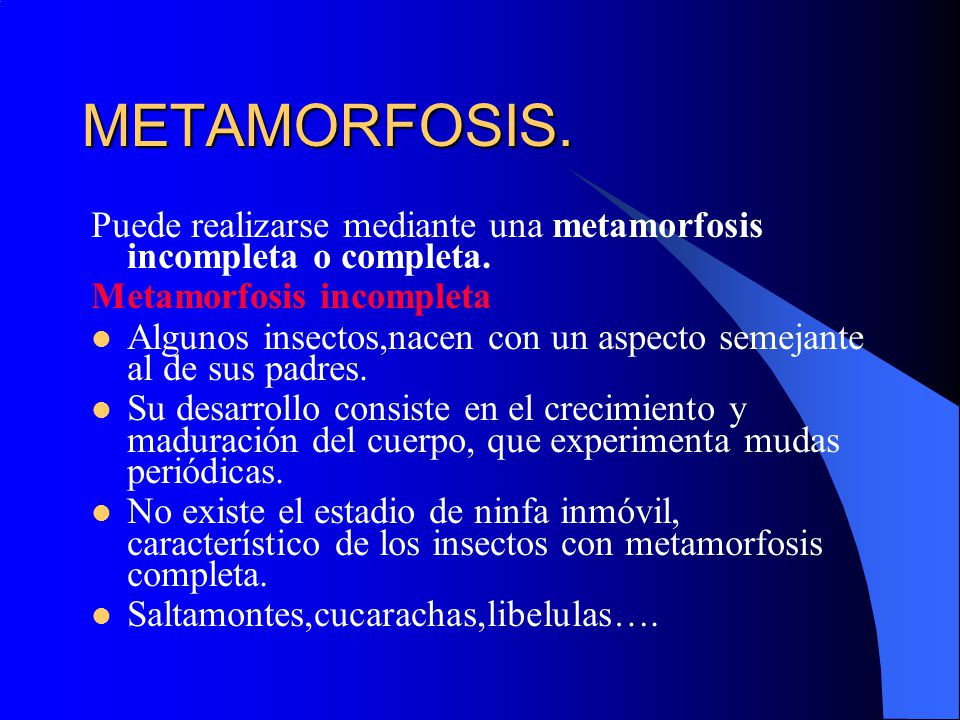 METAMORFOSIS. Puede realizarse mediante una metamorfosis incompleta o completa. Metamorfosis incompleta.