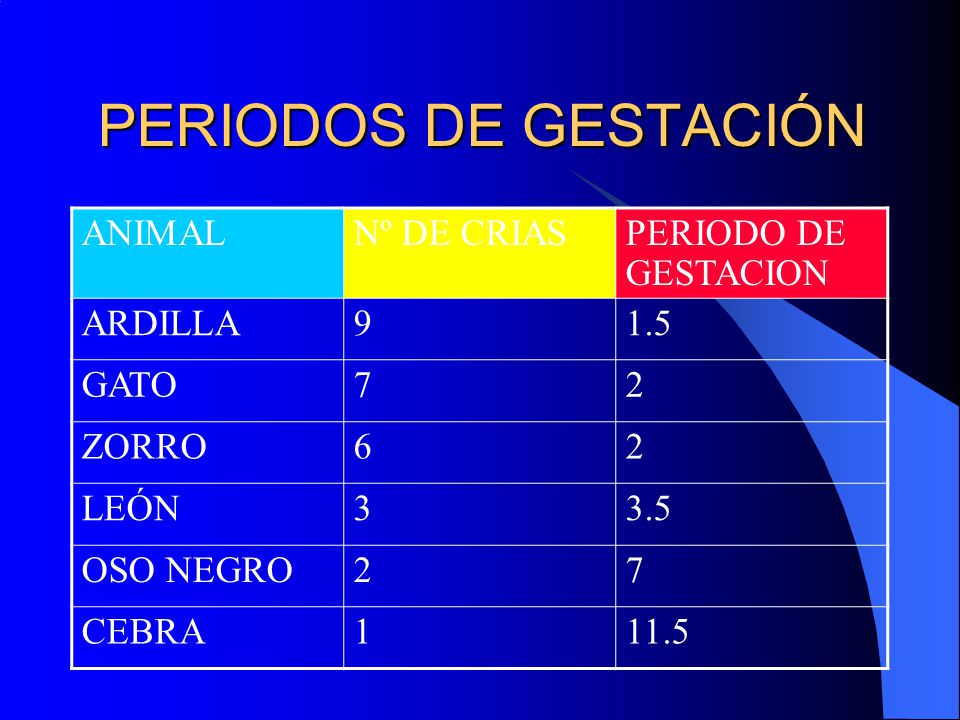 PERIODOS DE GESTACIÓN ANIMAL Nº DE CRIAS PERIODO DE GESTACION ARDILLA