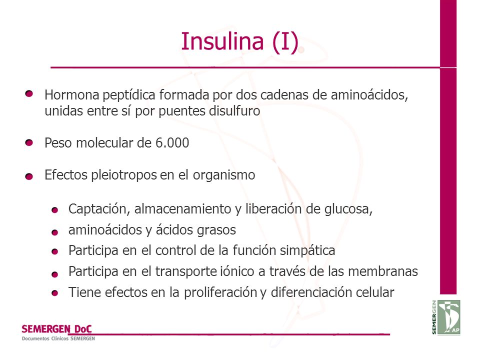 Insulina (I) Hormona peptídica formada por dos cadenas de aminoácidos, unidas entre sí por puentes disulfuro.