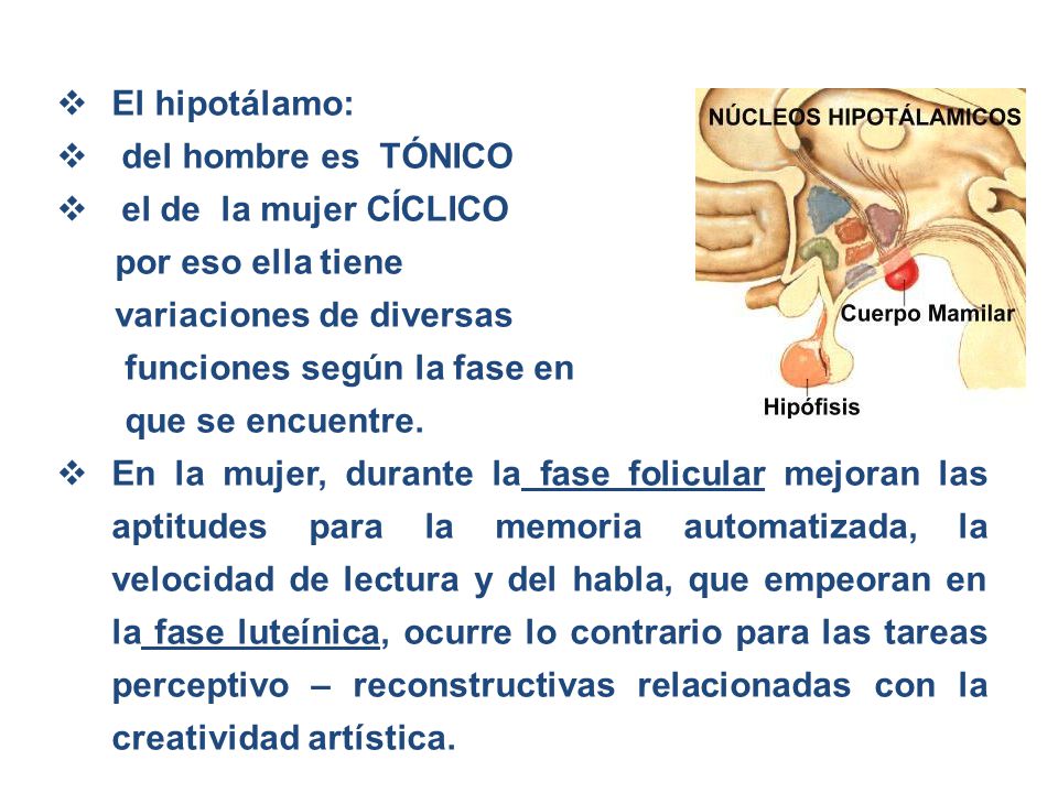 El hipotálamo: del hombre es TÓNICO. el de la mujer CÍCLICO. por eso ella tiene. variaciones de diversas.