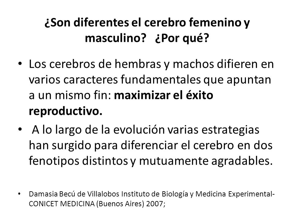 ¿Son diferentes el cerebro femenino y masculino ¿Por qué