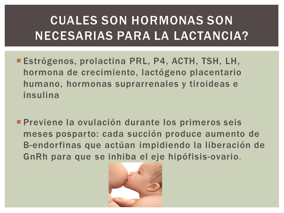 Cuales son hormonas son necesarias para la lactancia