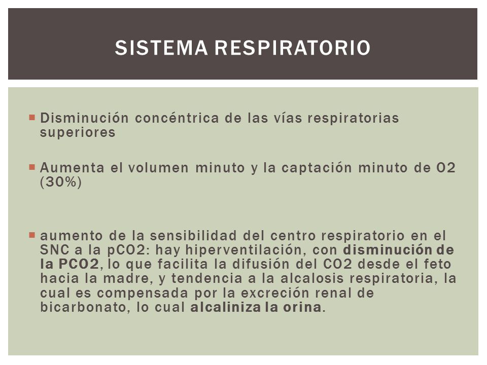 Sistema respiratorio Disminución concéntrica de las vías respiratorias superiores. Aumenta el volumen minuto y la captación minuto de O2 (30%)