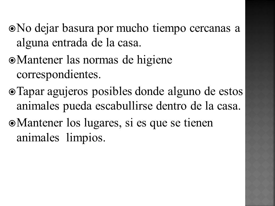 No dejar basura por mucho tiempo cercanas a alguna entrada de la casa.