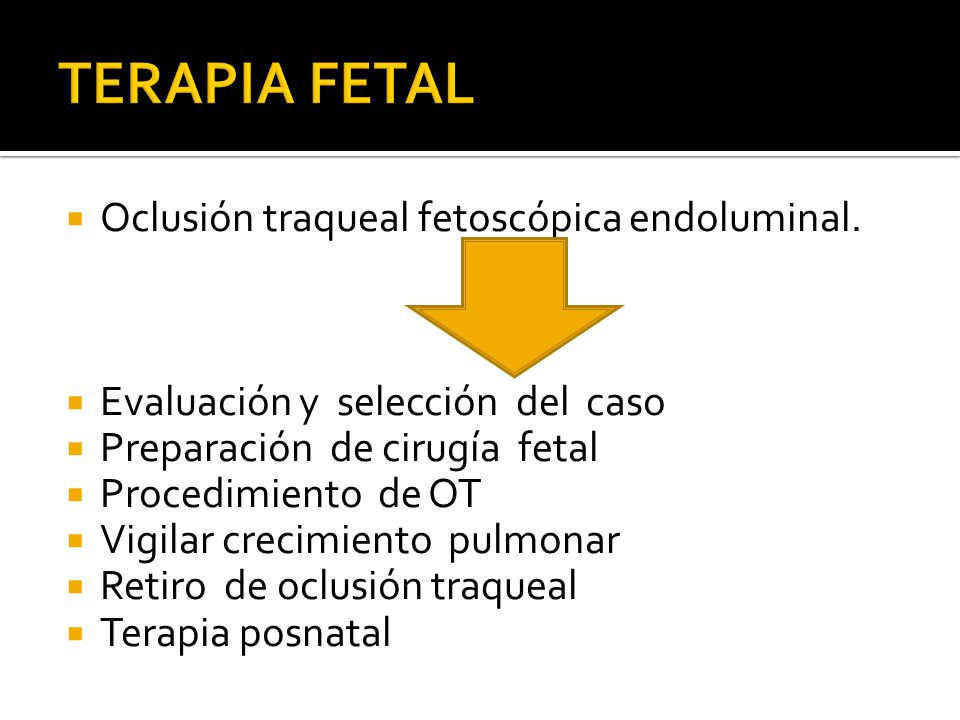 TERAPIA FETAL Oclusión traqueal fetoscópica endoluminal.