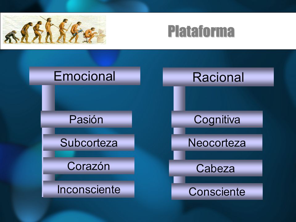 Plataforma Emocional Racional Pasión Cognitiva Subcorteza Neocorteza