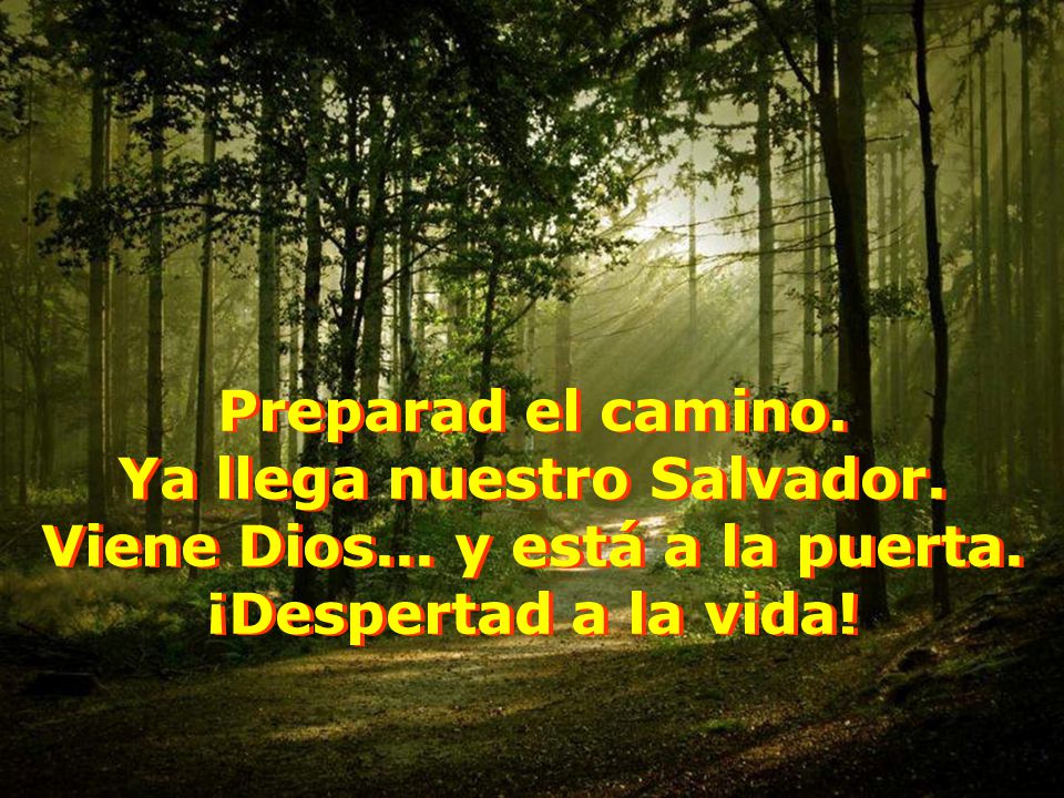 Ya llega nuestro Salvador. Viene Dios... y está a la puerta.
