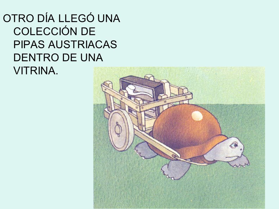 OTRO DÍA LLEGÓ UNA COLECCIÓN DE PIPAS AUSTRIACAS DENTRO DE UNA VITRINA.