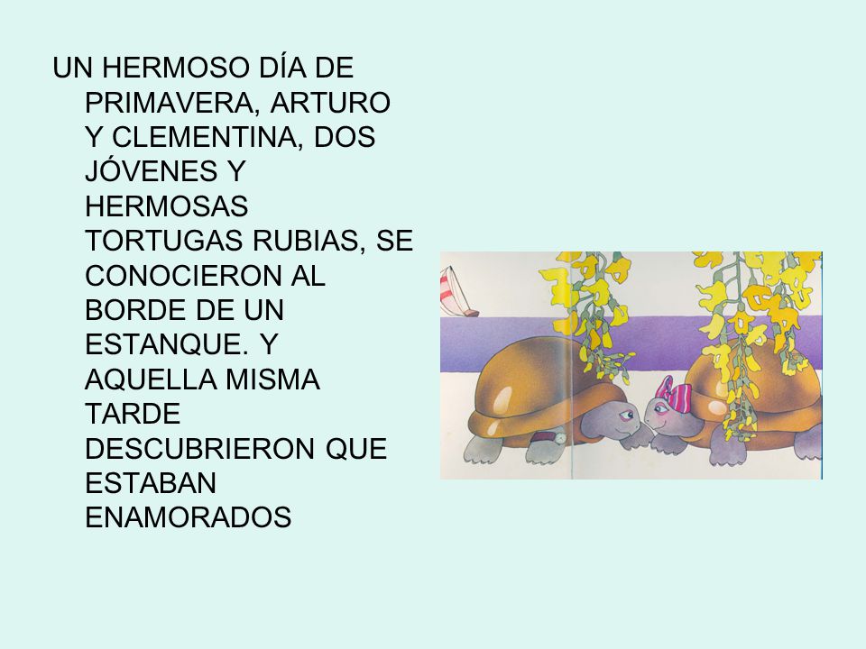 UN HERMOSO DÍA DE PRIMAVERA, ARTURO Y CLEMENTINA, DOS JÓVENES Y HERMOSAS TORTUGAS RUBIAS, SE CONOCIERON AL BORDE DE UN ESTANQUE.