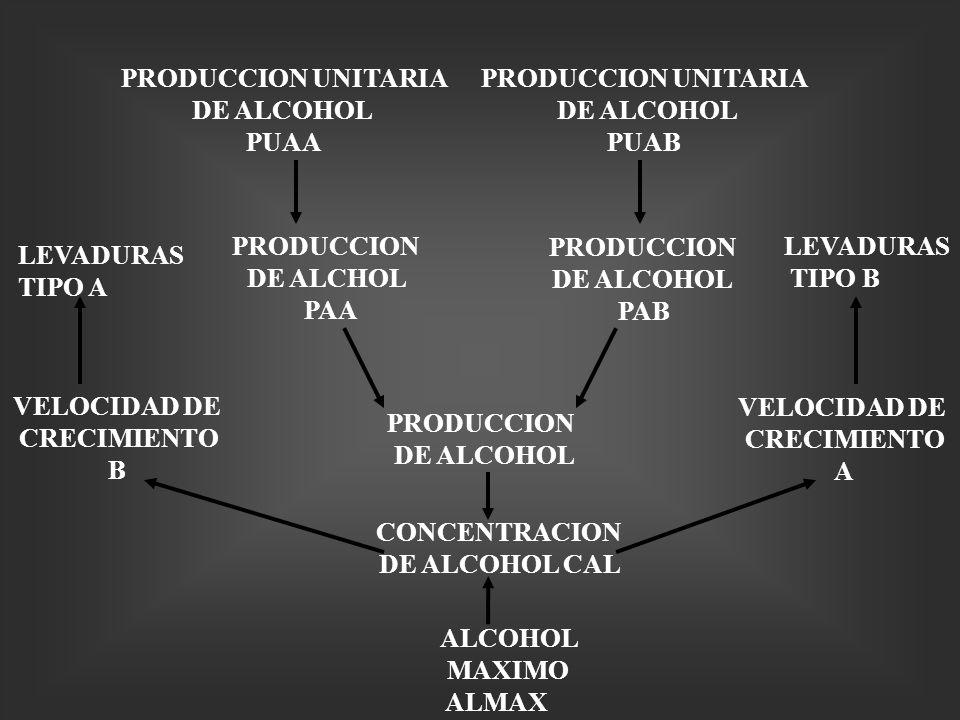 PRODUCCION UNITARIA DE ALCOHOL. PUAA. PRODUCCION UNITARIA. DE ALCOHOL. PUAB. PRODUCCION. DE ALCHOL.