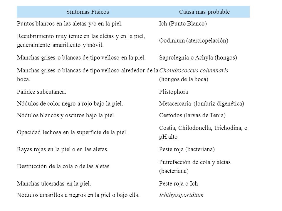 Síntomas Físicos Causa más probable. Puntos blancos en las aletas y/o en la piel. Ich (Punto Blanco)