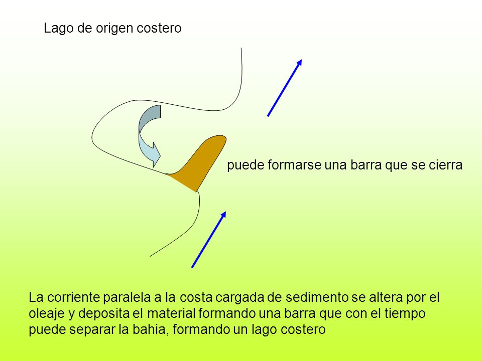 Lago de origen costero puede formarse una barra que se cierra. La corriente paralela a la costa cargada de sedimento se altera por el.