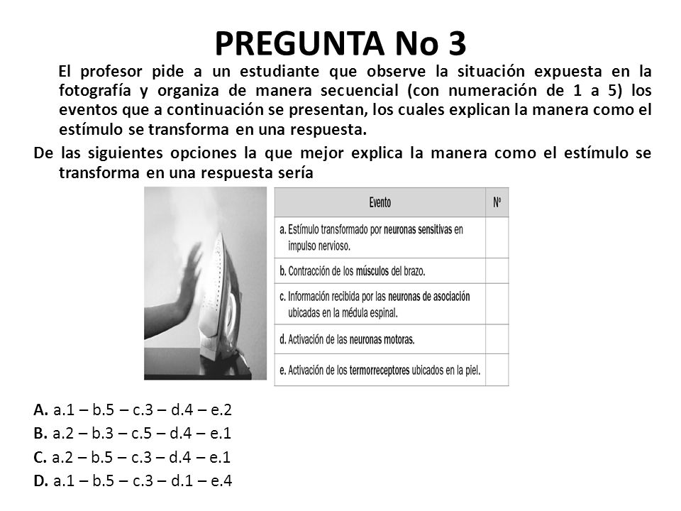 PREGUNTA No 3