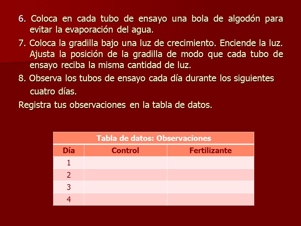 Tabla de datos: Observaciones