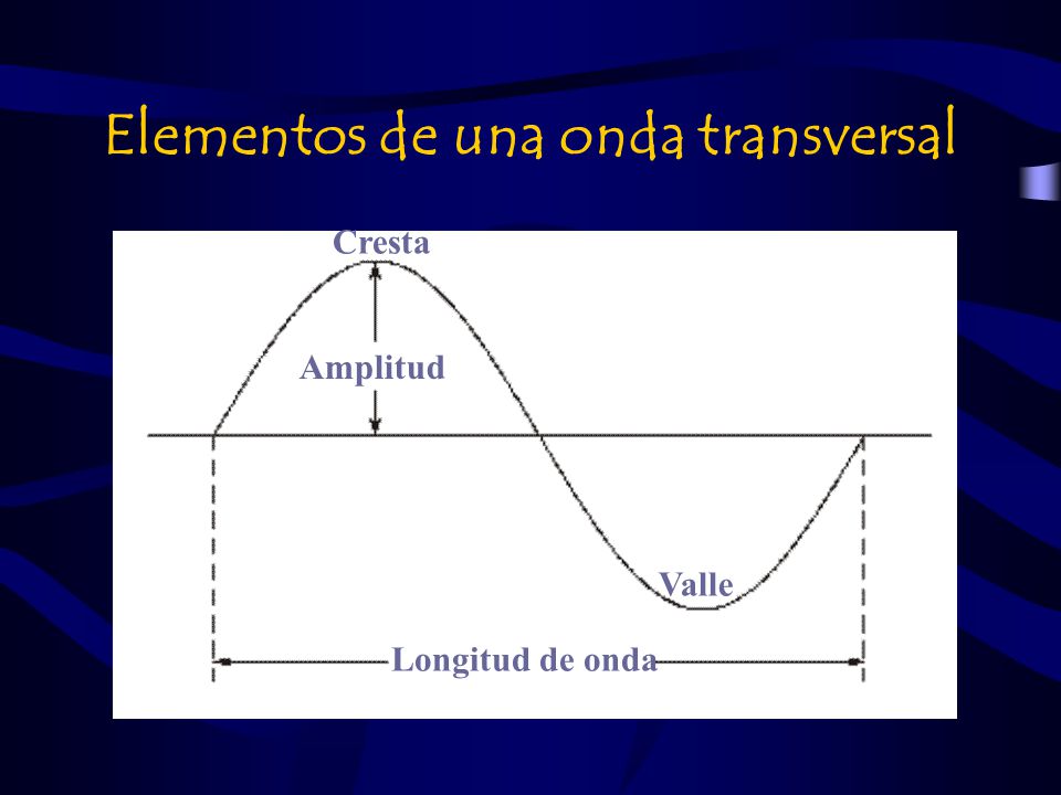 Elementos de una onda transversal