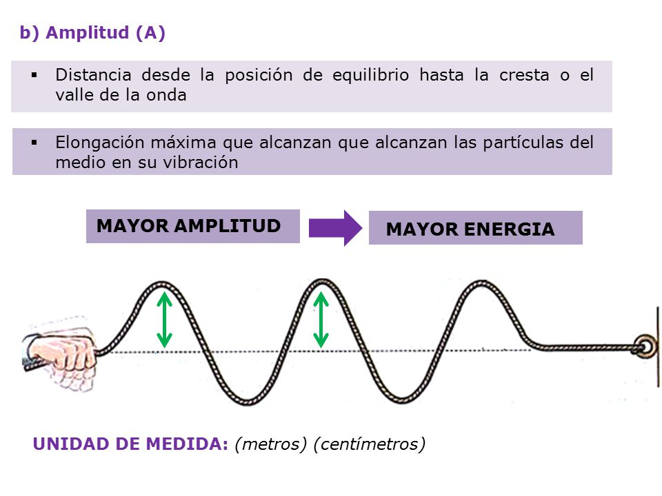 b) Amplitud (A) Distancia desde la posición de equilibrio hasta la cresta o el valle de la onda.