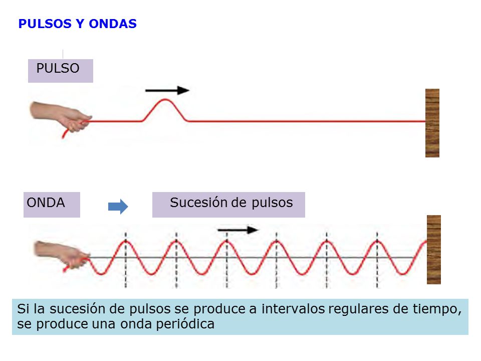 PULSOS Y ONDAS PULSO ONDA Sucesión de pulsos Si la sucesión de pulsos se produce a intervalos regulares de tiempo, se produce una onda periódica