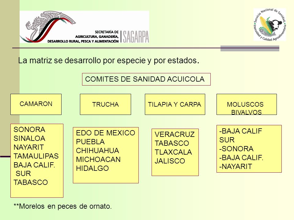 La matriz se desarrollo por especie y por estados.