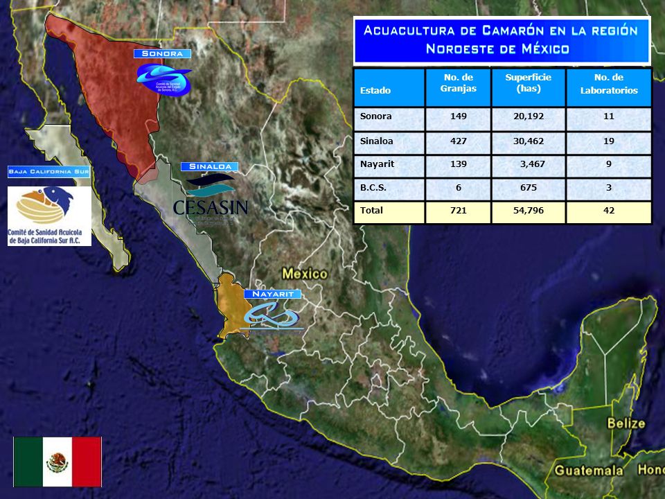 Estado No. de Granjas. Superficie (has) No. de. Laboratorios. Sonora , Sinaloa.