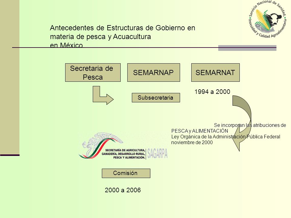 Antecedentes de Estructuras de Gobierno en materia de pesca y Acuacultura