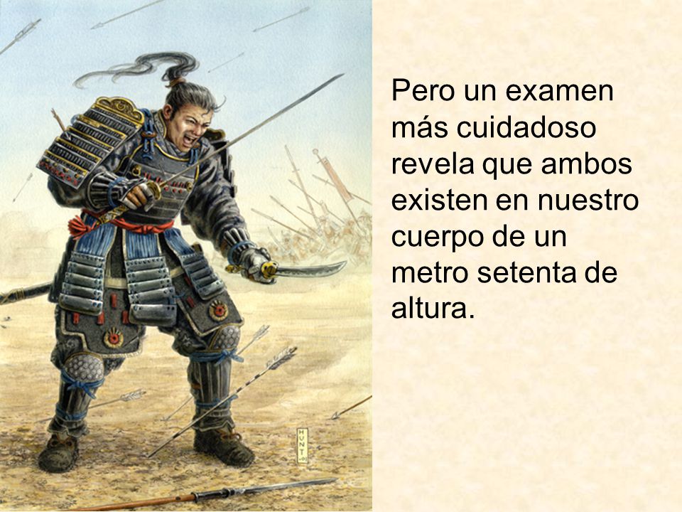 Pero un examen más cuidadoso revela que ambos existen en nuestro cuerpo de un metro setenta de altura.