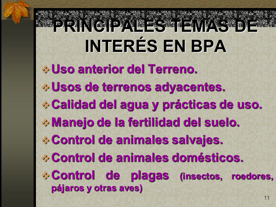 PRINCIPALES TEMAS DE INTERÉS EN BPA