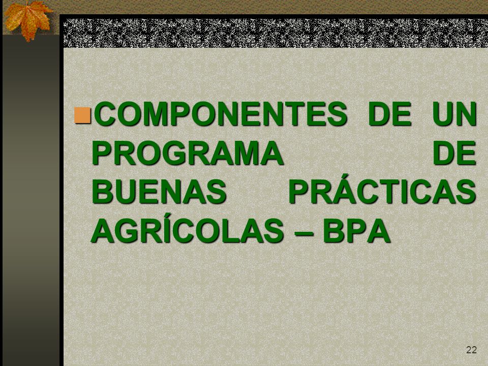 COMPONENTES DE UN PROGRAMA DE BUENAS PRÁCTICAS AGRÍCOLAS – BPA