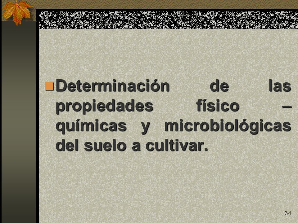 Determinación de las propiedades físico – químicas y microbiológicas del suelo a cultivar.