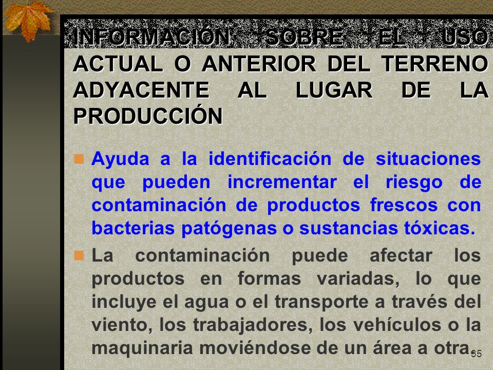 INFORMACIÓN SOBRE EL USO ACTUAL O ANTERIOR DEL TERRENO ADYACENTE AL LUGAR DE LA PRODUCCIÓN