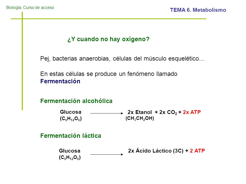 2x Ácido Láctico (3C) + 2 ATP