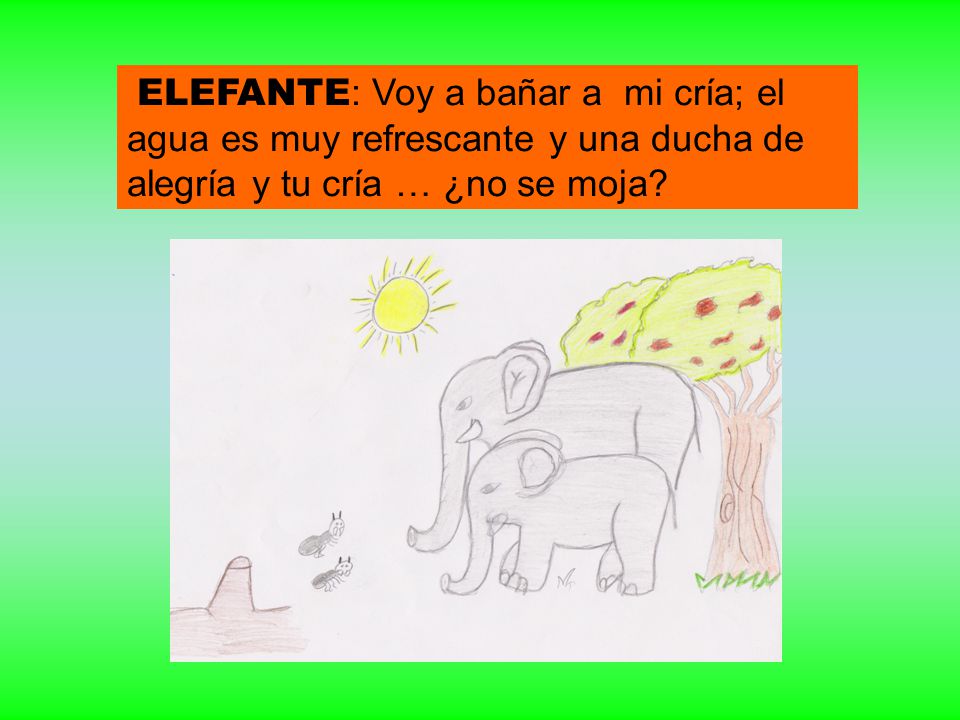 ELEFANTE: Voy a bañar a mi cría; el agua es muy refrescante y una ducha de alegría y tu cría … ¿no se moja