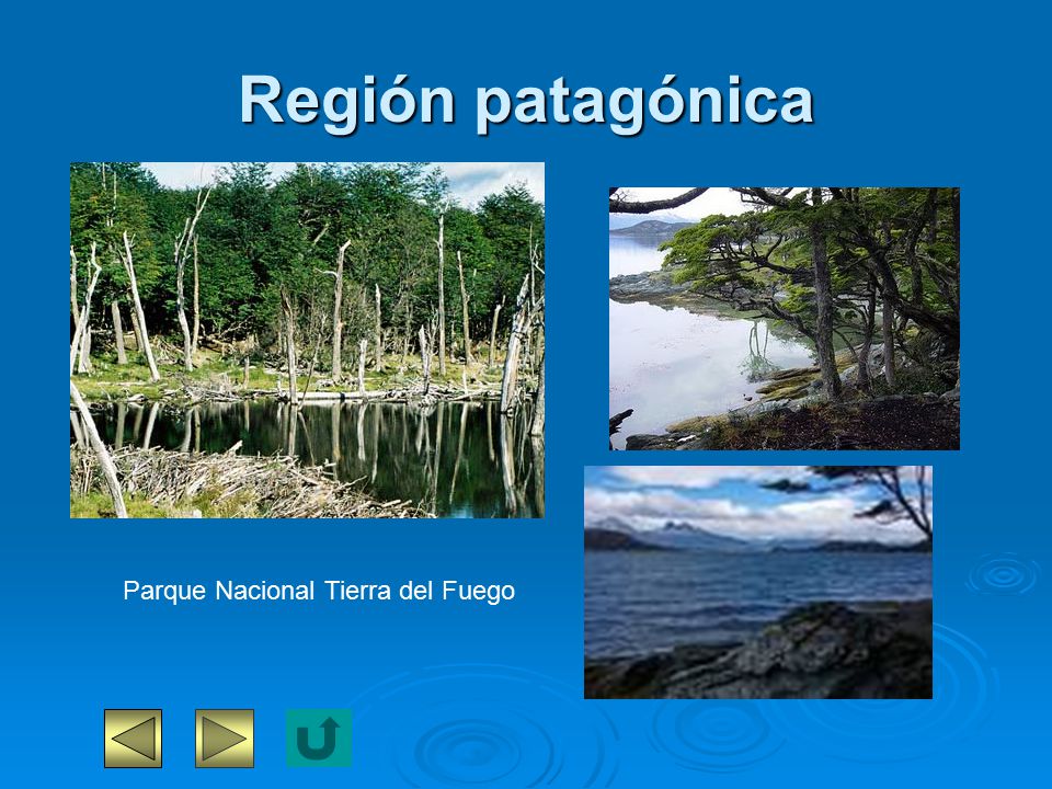 Región patagónica Parque Nacional Tierra del Fuego