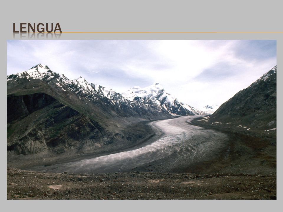 lengua