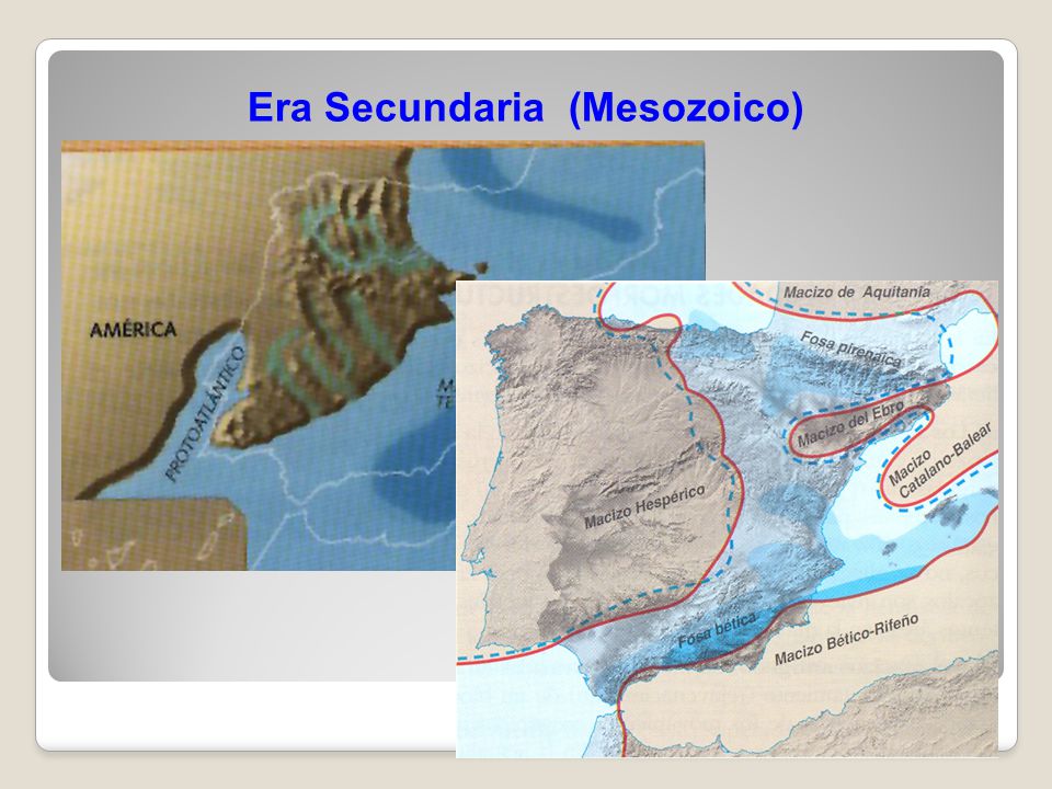 Era Secundaria (Mesozoico)