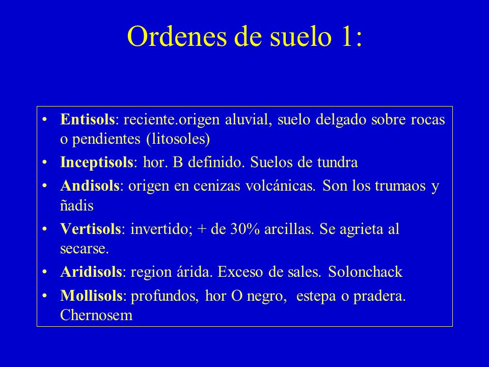 Ordenes de suelo 1: Entisols: reciente.origen aluvial, suelo delgado sobre rocas o pendientes (litosoles)