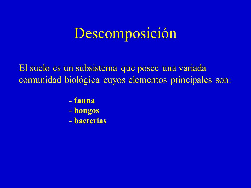 Descomposición El suelo es un subsistema que posee una variada