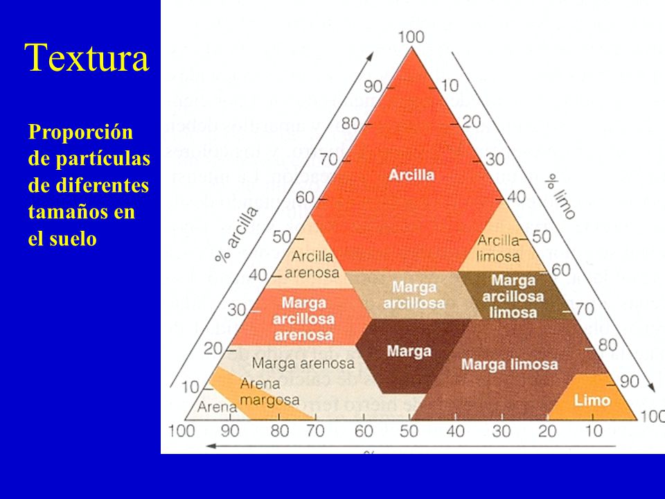 Textura Proporción de partículas de diferentes tamaños en el suelo
