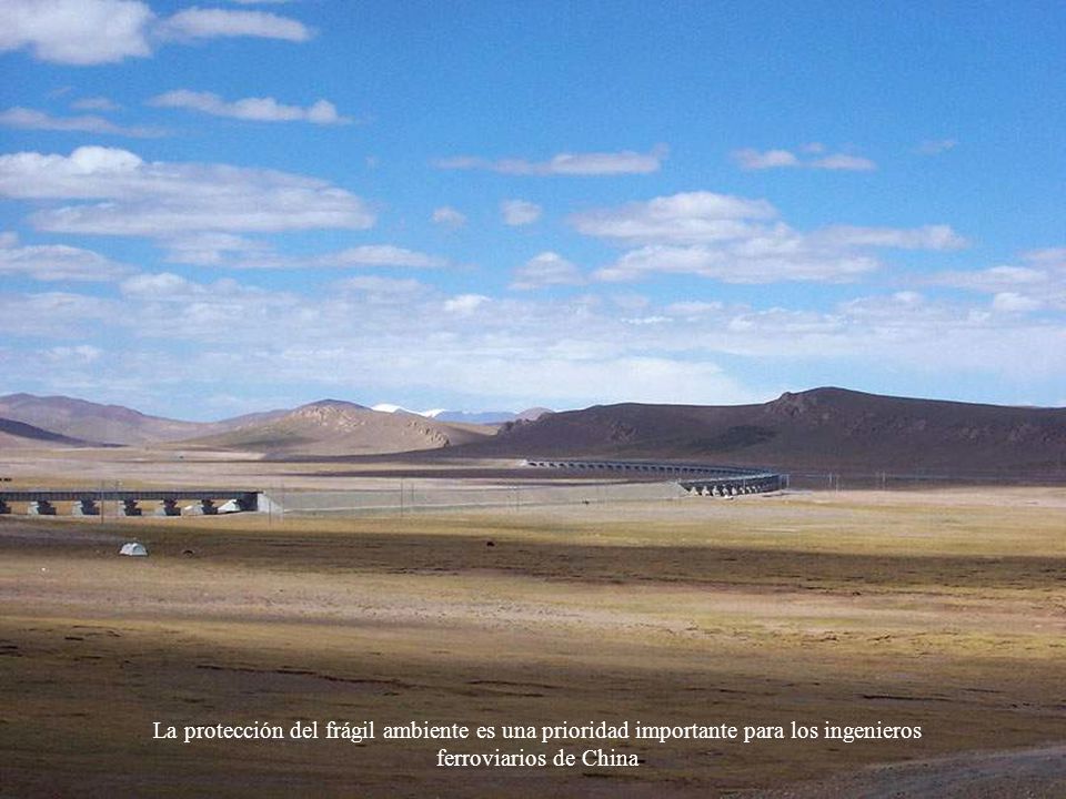 La protección del frágil ambiente es una prioridad importante para los ingenieros ferroviarios de China