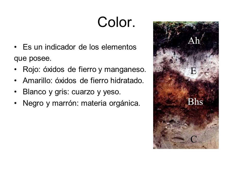 Color. Es un indicador de los elementos que posee.