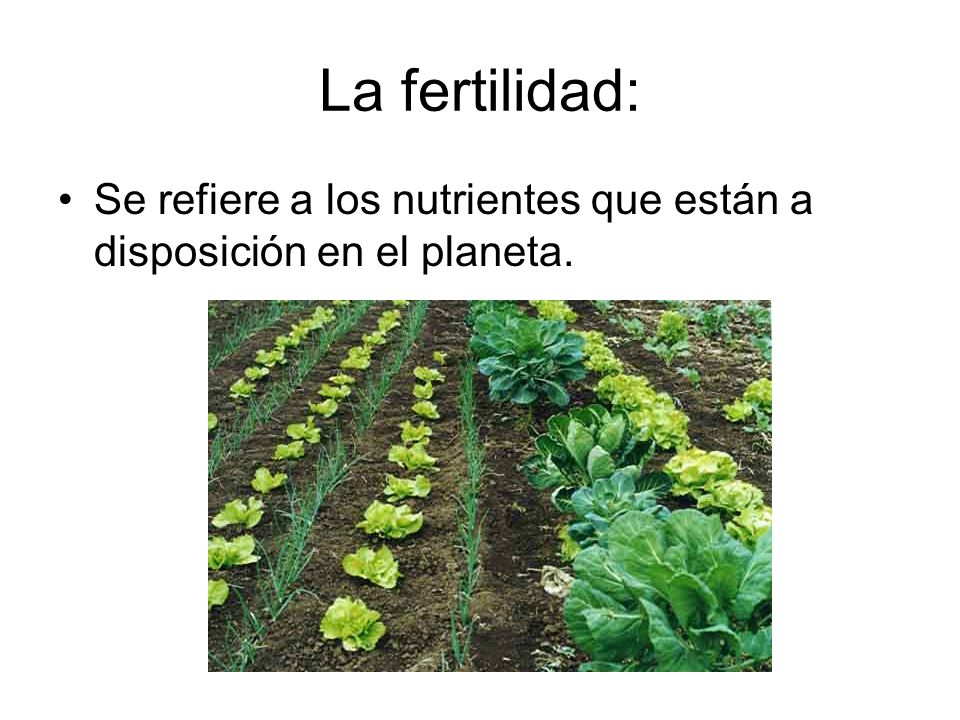 La fertilidad: Se refiere a los nutrientes que están a disposición en el planeta.