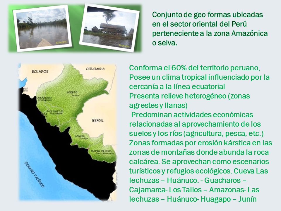 Conjunto de geo formas ubicadas en el sector oriental del Perú perteneciente a la zona Amazónica o selva.