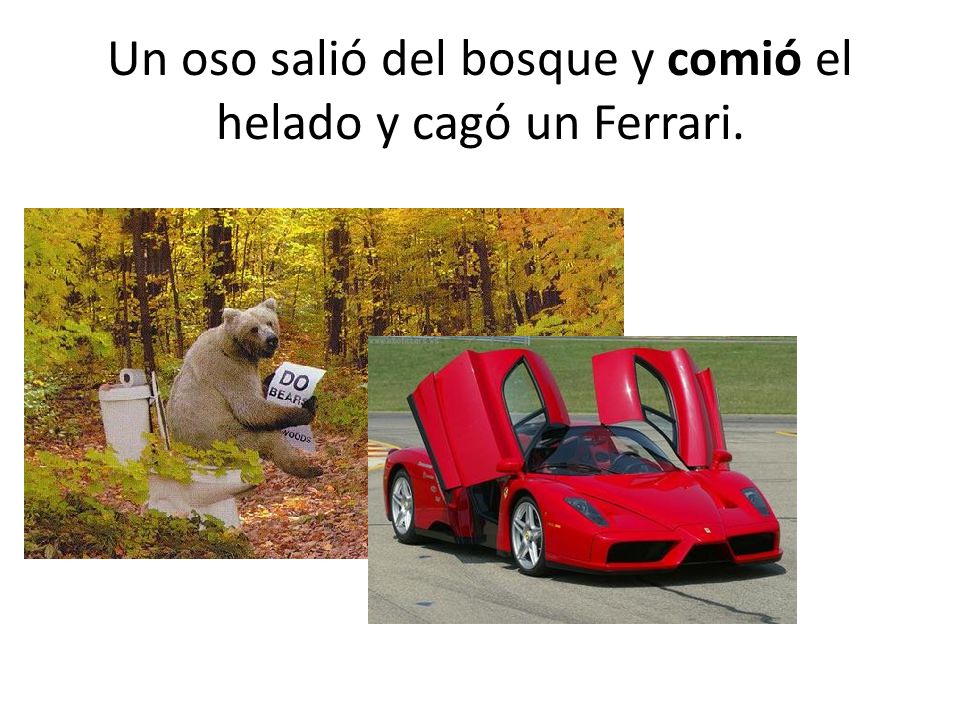Un oso salió del bosque y comió el helado y cagó un Ferrari.