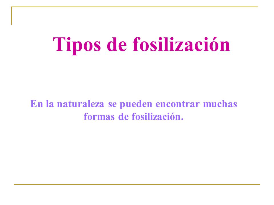 En la naturaleza se pueden encontrar muchas formas de fosilización.