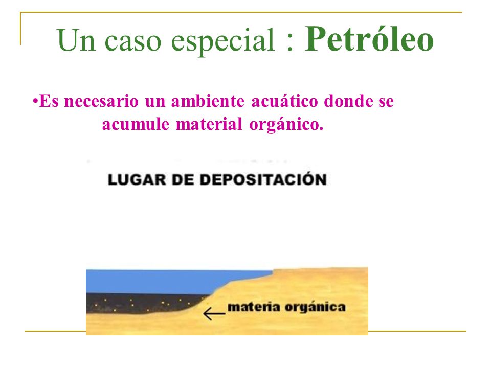 Es necesario un ambiente acuático donde se acumule material orgánico.