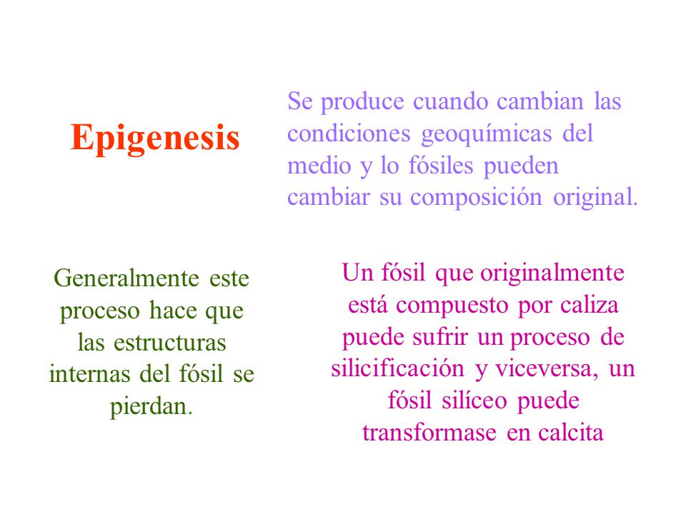 Se produce cuando cambian las condiciones geoquímicas del medio y lo fósiles pueden cambiar su composición original.